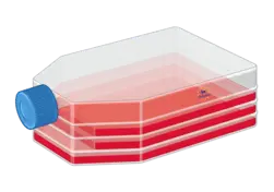 Fibroblast Medium
