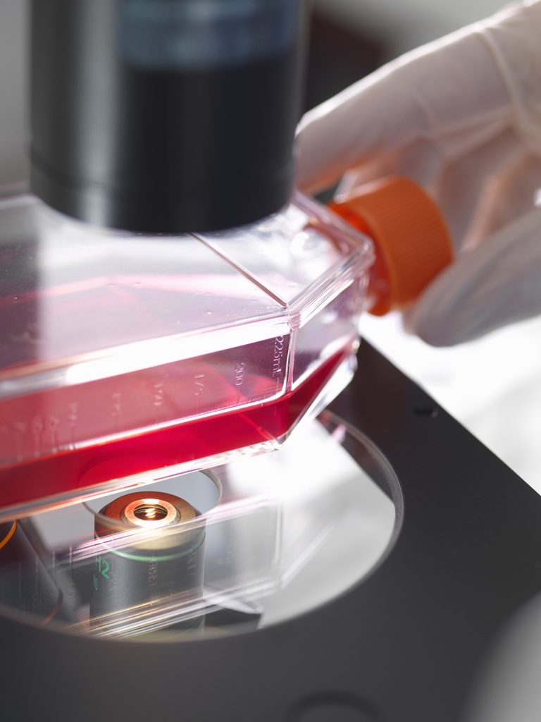 CHO-K1/ Mouse CD155 Stable Cell Line